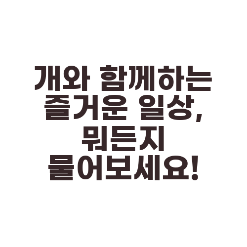 개와 함께하는 즐거운 일상, 뭐든지 물어보세요!