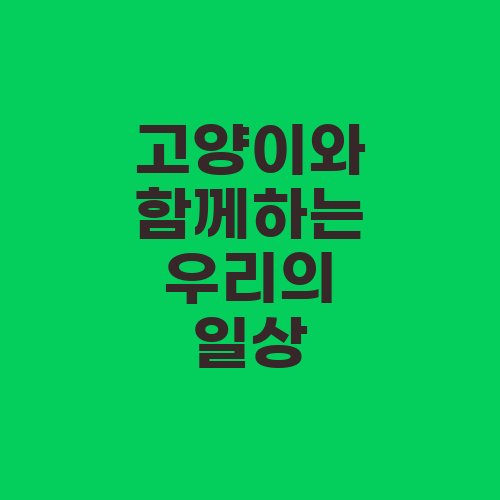 고양이와 함께하는 우리의 일상