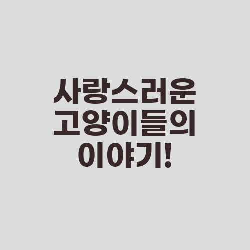 사랑스러운 고양이들의 이야기!
