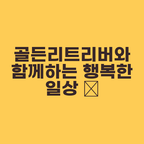골든리트리버와 함께하는 행복한 일상 ????