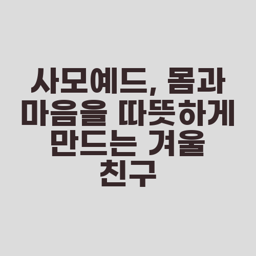 사모예드, 몸과 마음을 따뜻하게 만드는 겨울 친구