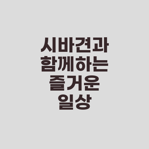 시바견과 함께하는 즐거운 일상