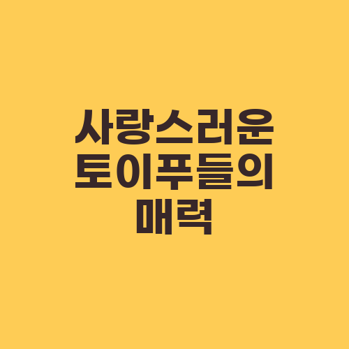사랑스러운 토이푸들의 매력