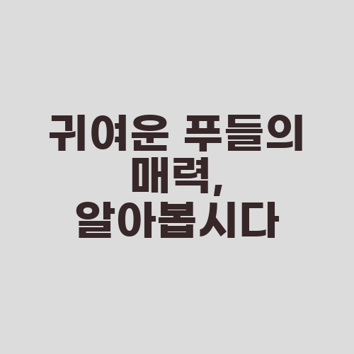 귀여운 푸들의 매력, 알아봅시다