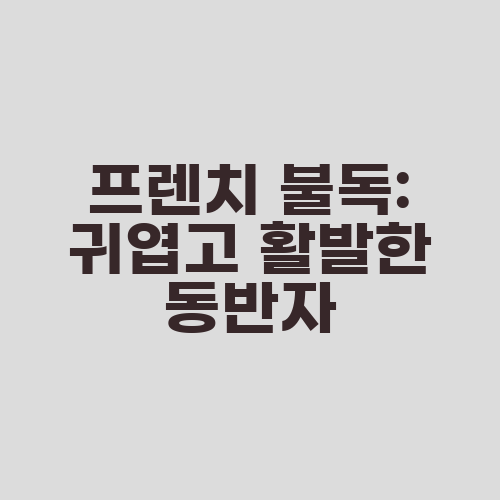 프렌치 불독: 귀엽고 활발한 동반자
