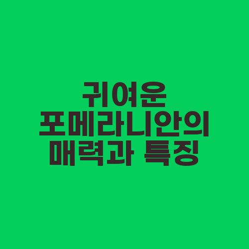 귀여운 포메라니안의 매력과 특징