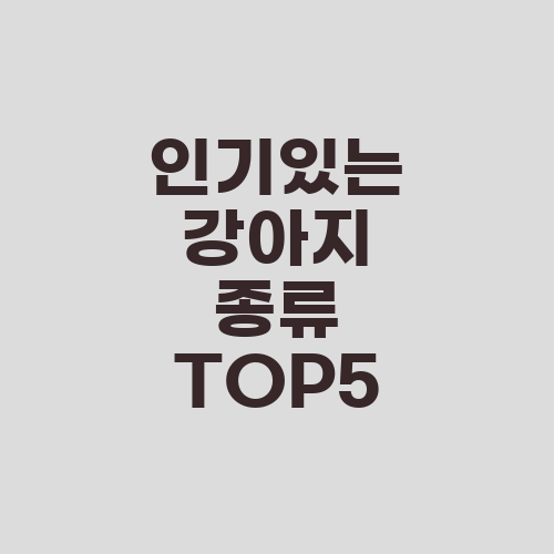 인기있는 강아지 종류 TOP5