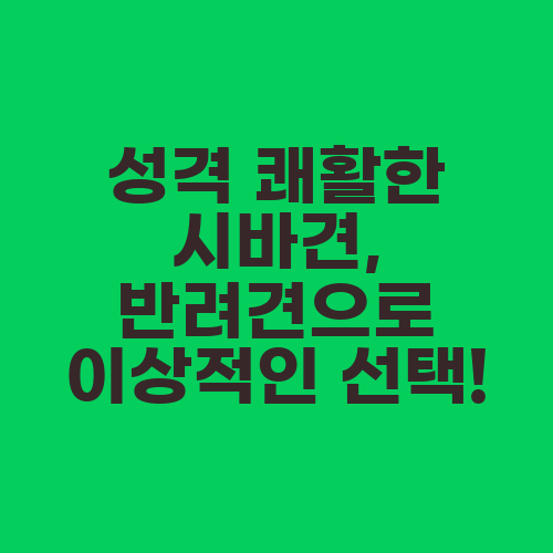 성격 쾌활한 시바견, 반려견으로 이상적인 선택!