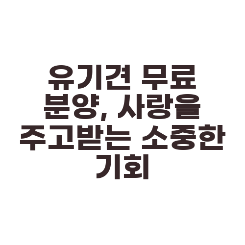 유기견 무료 분양, 사랑을 주고받는 소중한 기회