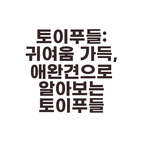 토이푸들: 귀여움 가득, 애완견으로 알아보는 토이푸들