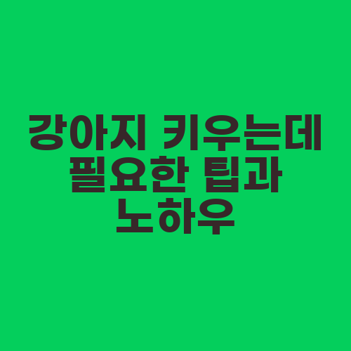 강아지 키우는데 필요한 팁과 노하우