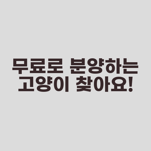무료로 분양하는 고양이 찾아요!