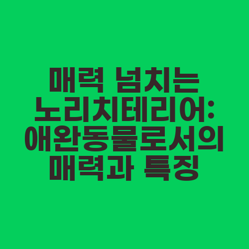 매력 넘치는 노리치테리어: 애완동물로서의 매력과 특징