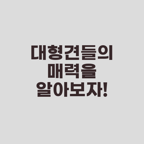 대형견들의 매력을 알아보자!