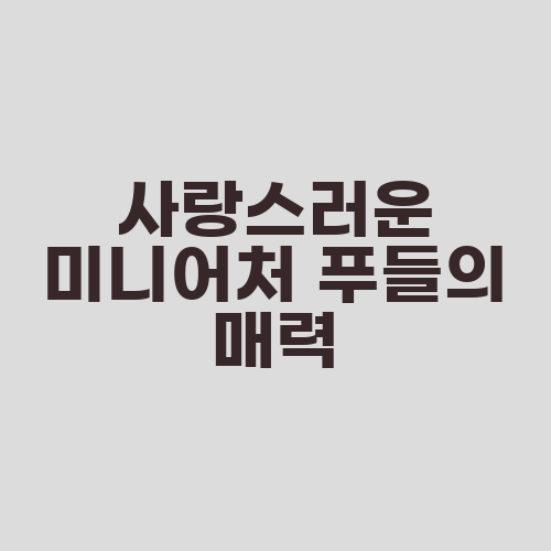 사랑스러운 미니어처 푸들의 매력