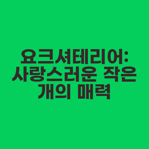 요크셔테리어: 사랑스러운 작은 개의 매력