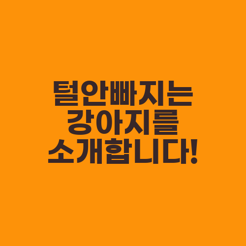 털안빠지는 강아지를 소개합니다!