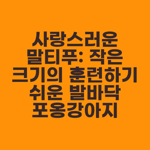 사랑스러운 말티푸: 작은 크기의 훈련하기 쉬운 발바닥 포옹강아지