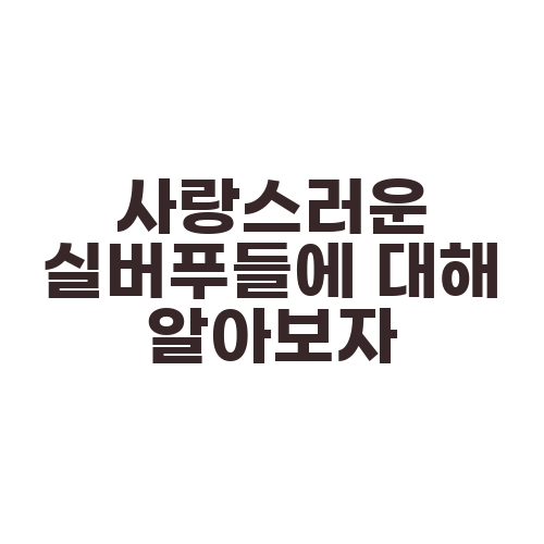 사랑스러운 실버푸들에 대해 알아보자
