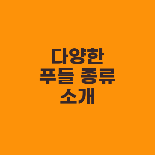 다양한 푸들 종류 소개