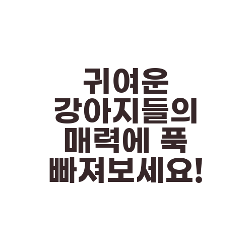 귀여운 강아지들의 매력에 푹 빠져보세요!