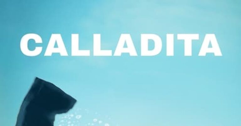 Calladita(칼라디타) – 스페인 드라마 코미디의 매력적인 일상 이야기
